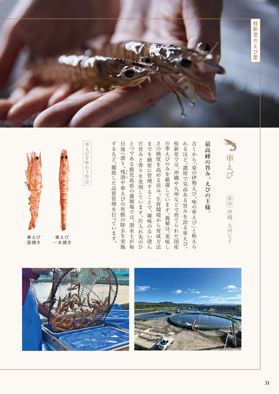ページ（32ページ目）