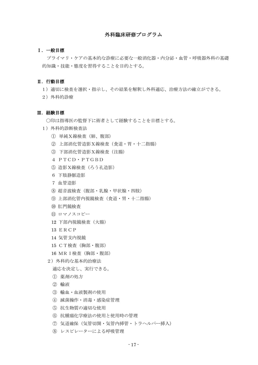Page 19（19ページ目）