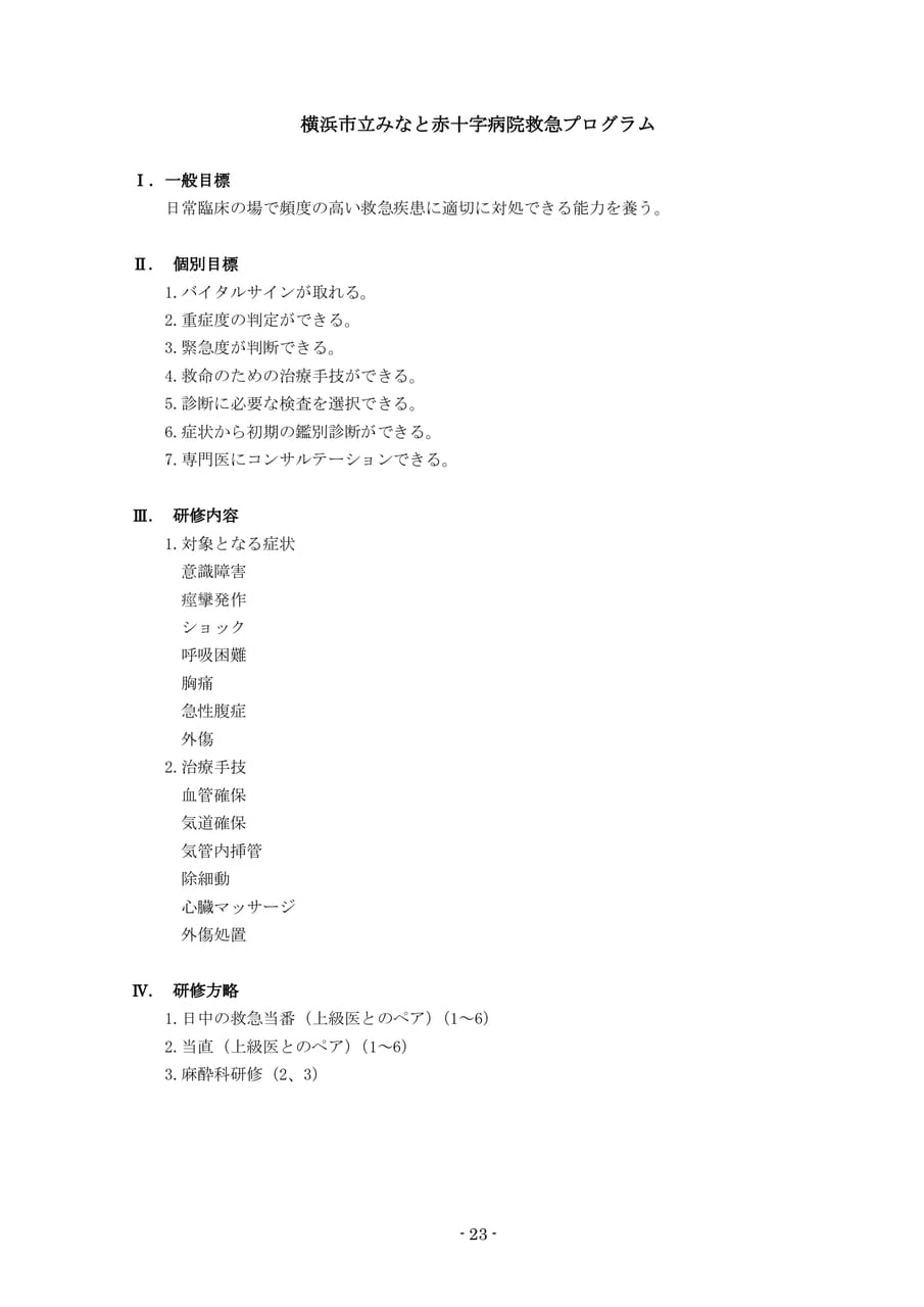 Page 25（25ページ目）