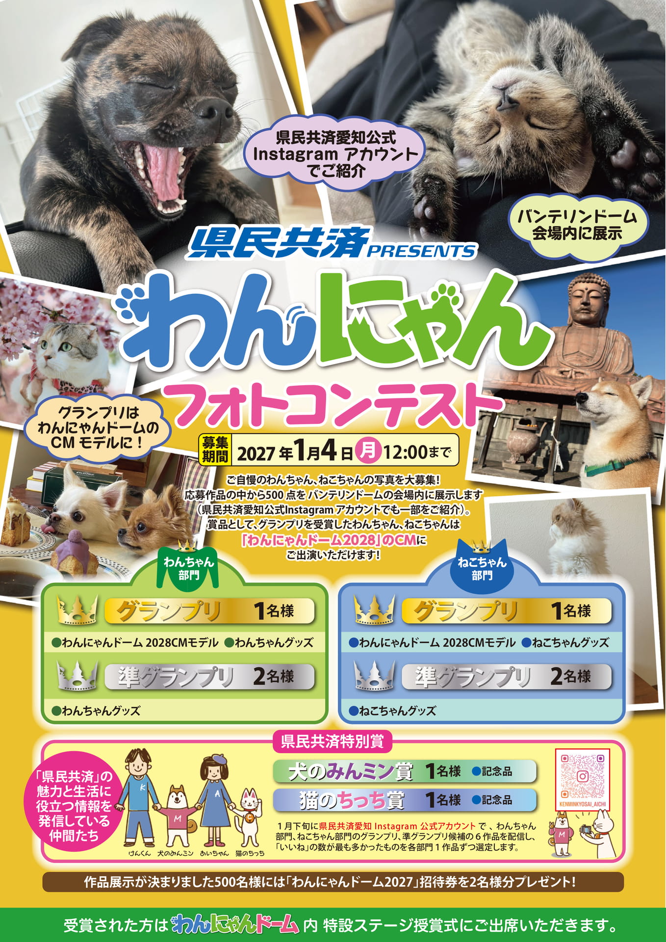 わんにゃんフォトコンテスト-表面(1ページ目)