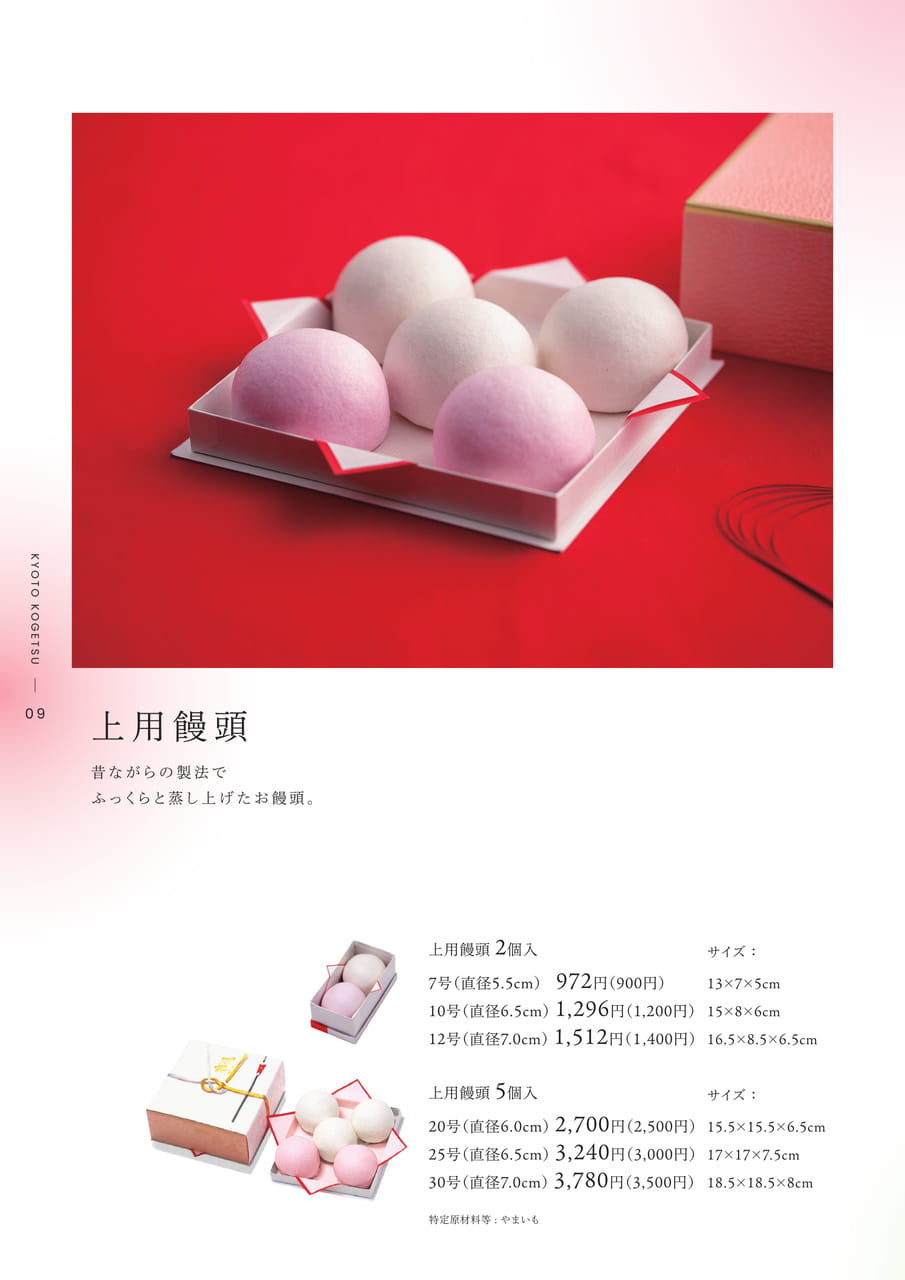 Page (追加)10（10ページ目）