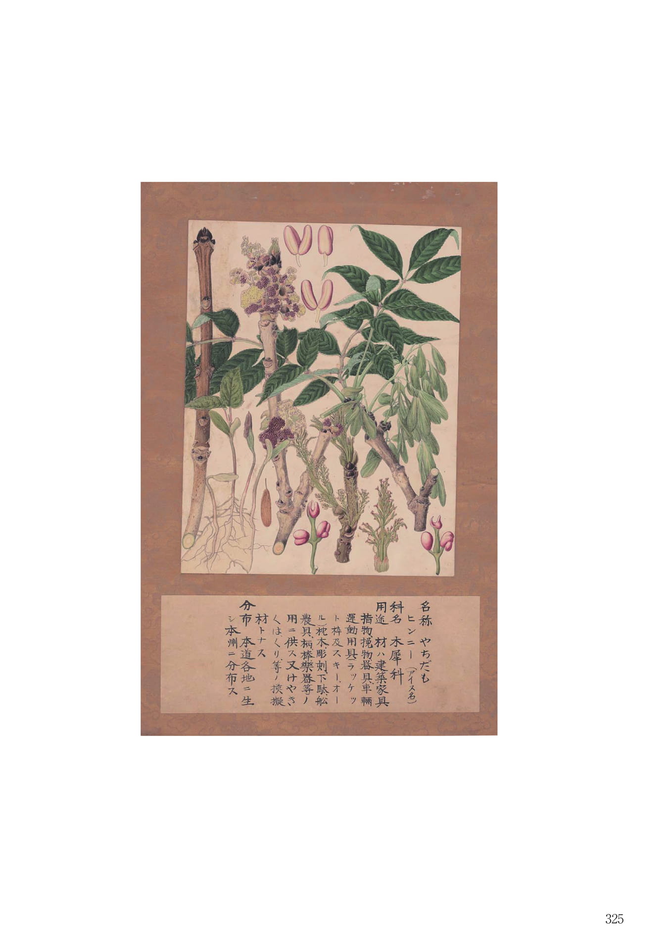 御料局札幌支庁周辺資料(327ページ目)