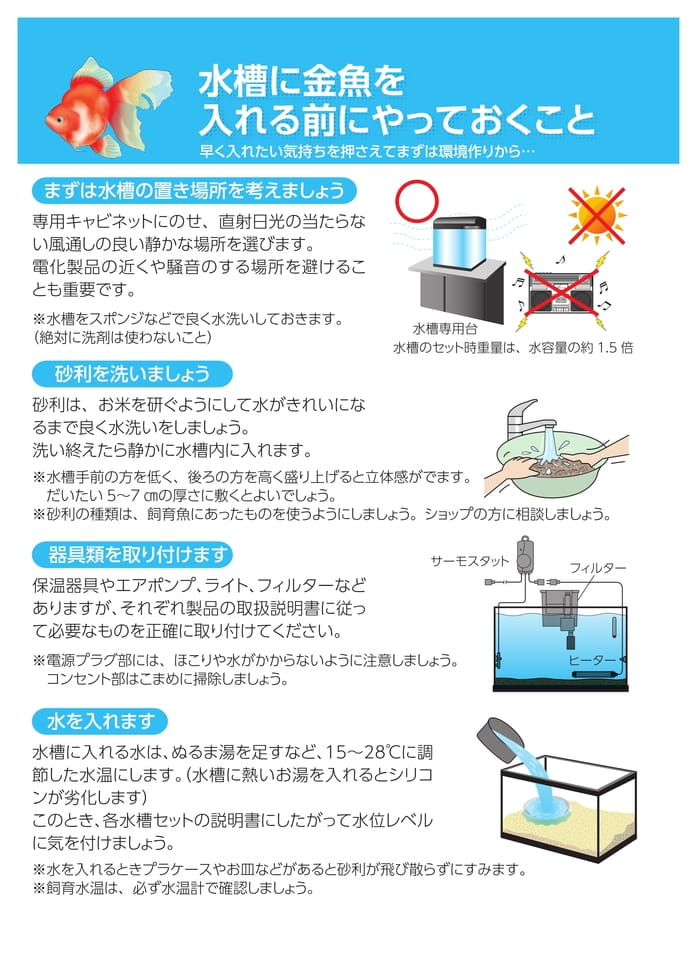 Page 2（2ページ目）