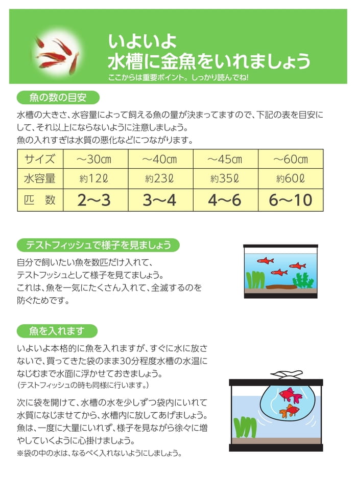 Page 4（4ページ目）