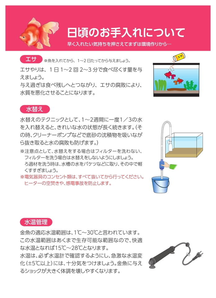 Page 5（5ページ目）