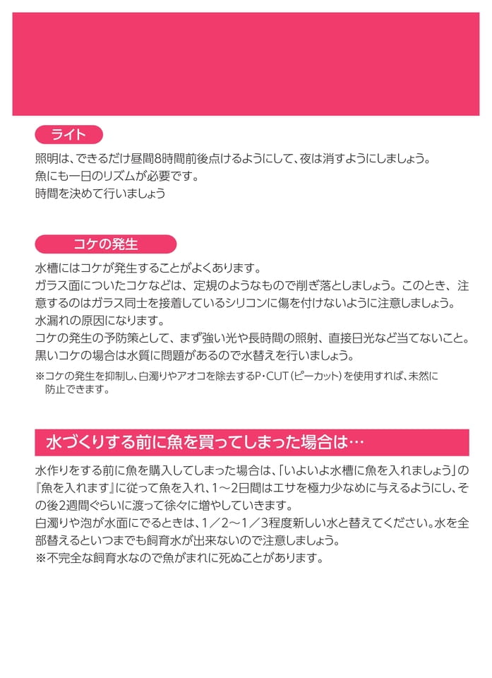 Page 6（6ページ目）