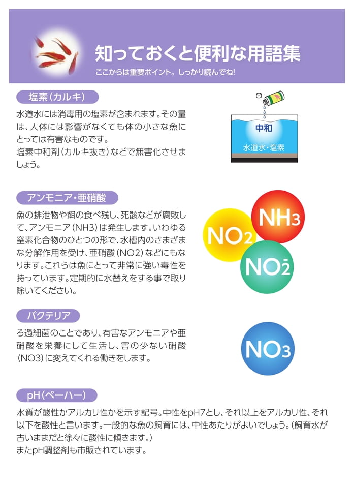 Page 7（7ページ目）