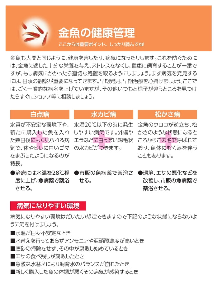 Page 8（8ページ目）