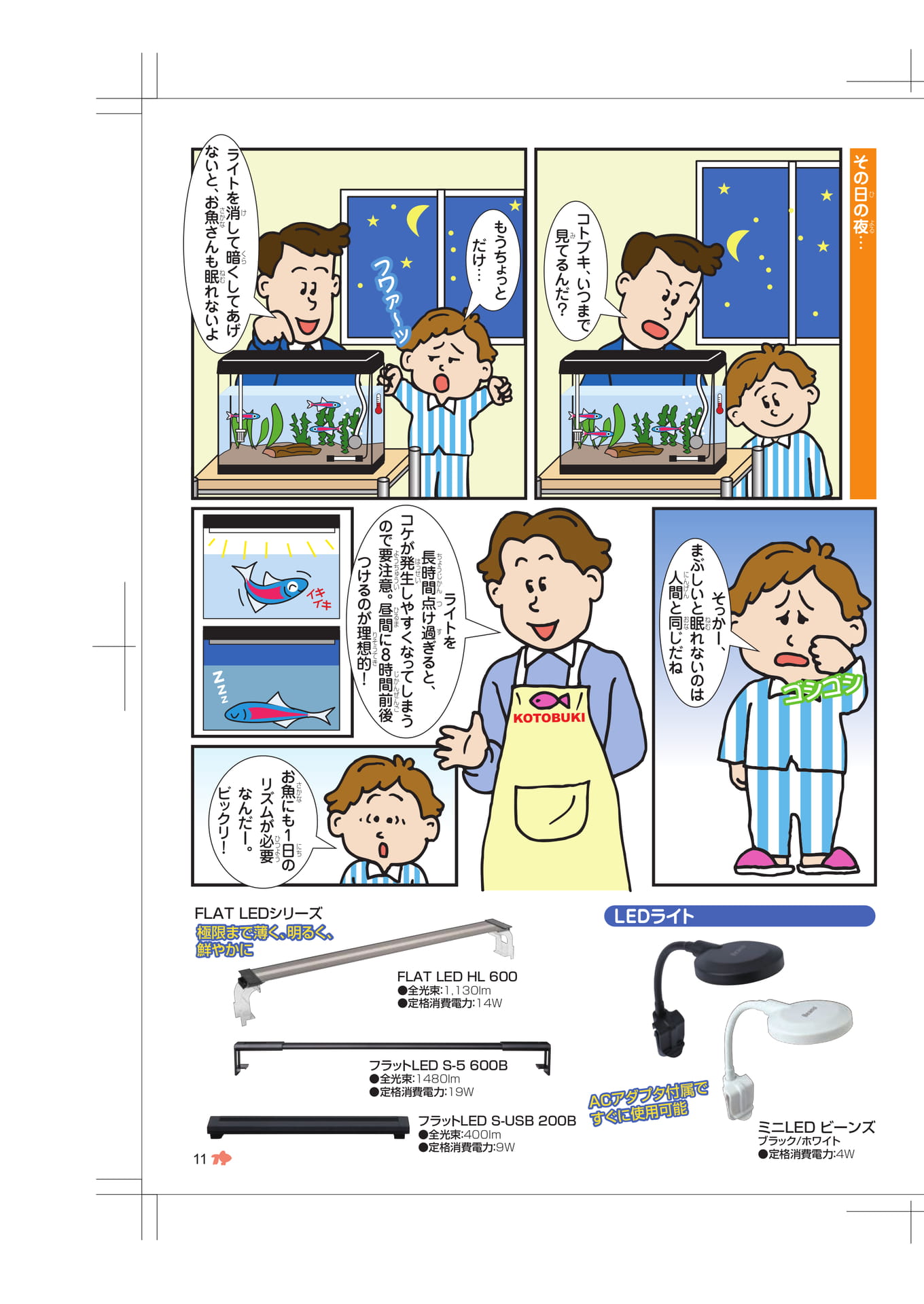 Page 11(11ページ目)