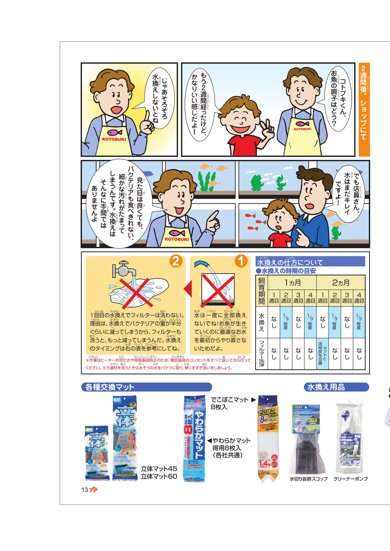 Page 13(13ページ目)