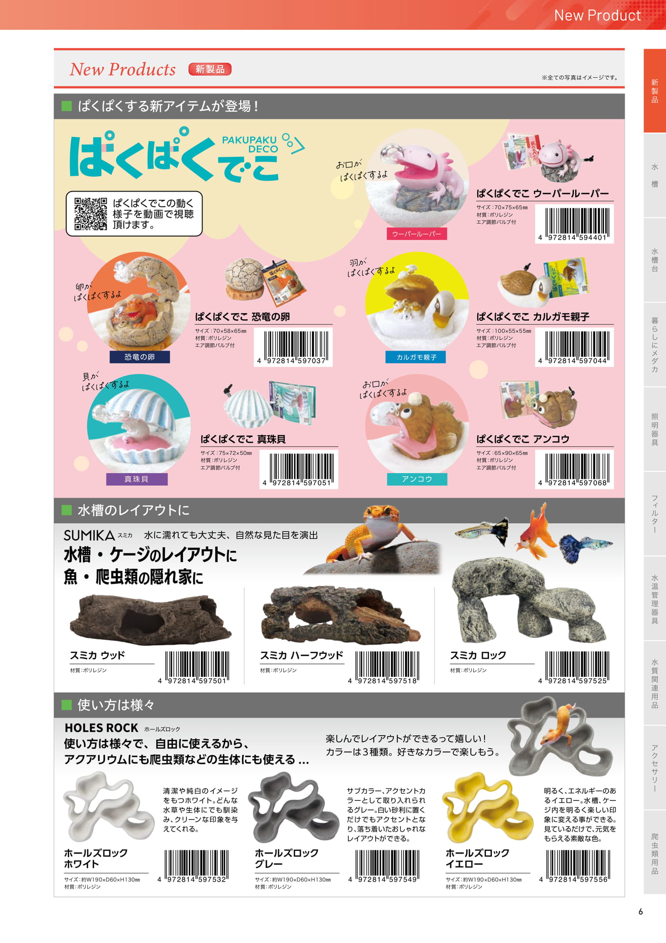 Page 11（11ページ目）