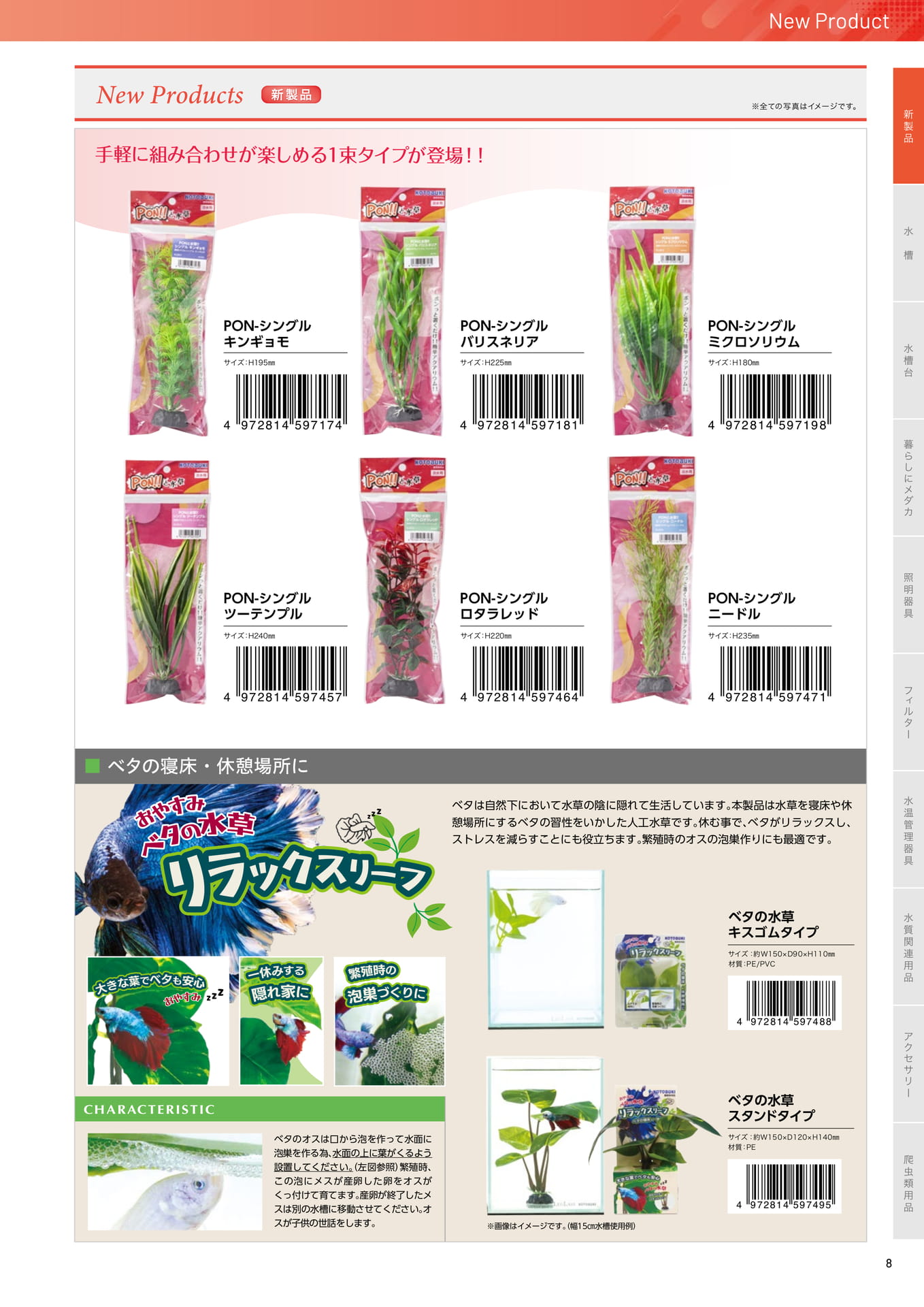 Page 13（13ページ目）