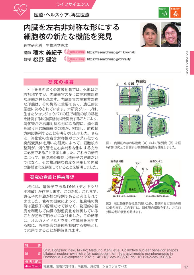 (19ページ目)