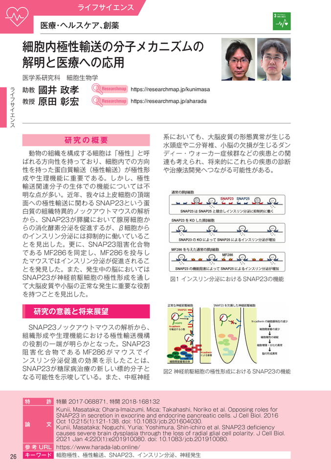 (28ページ目)