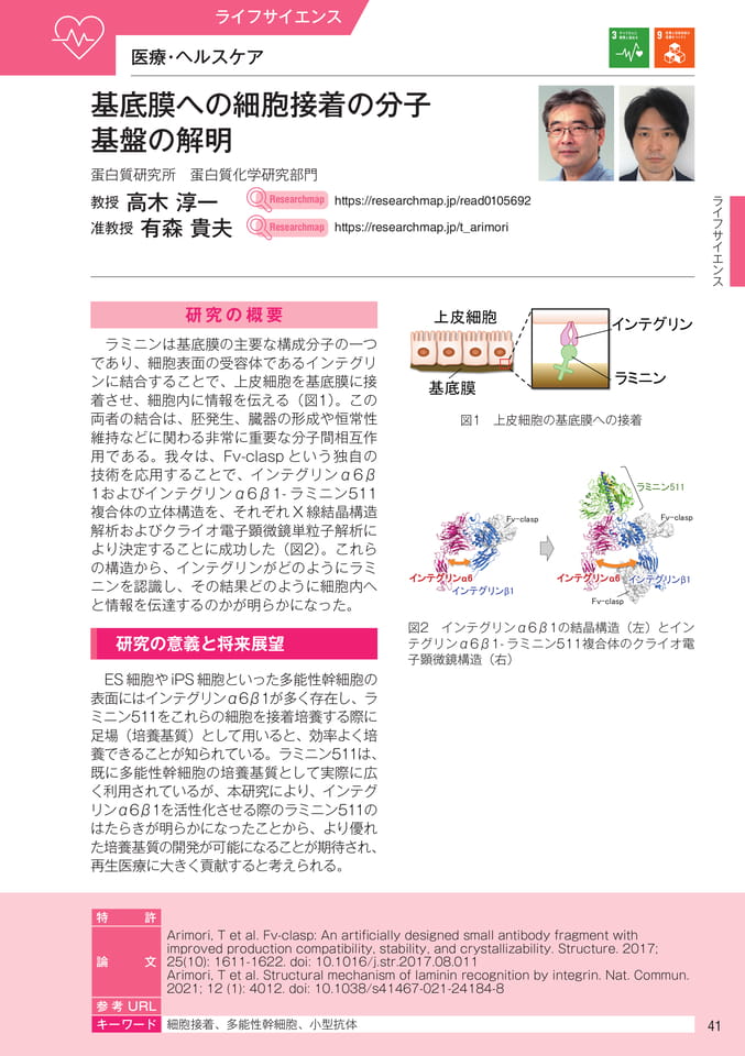 (43ページ目)