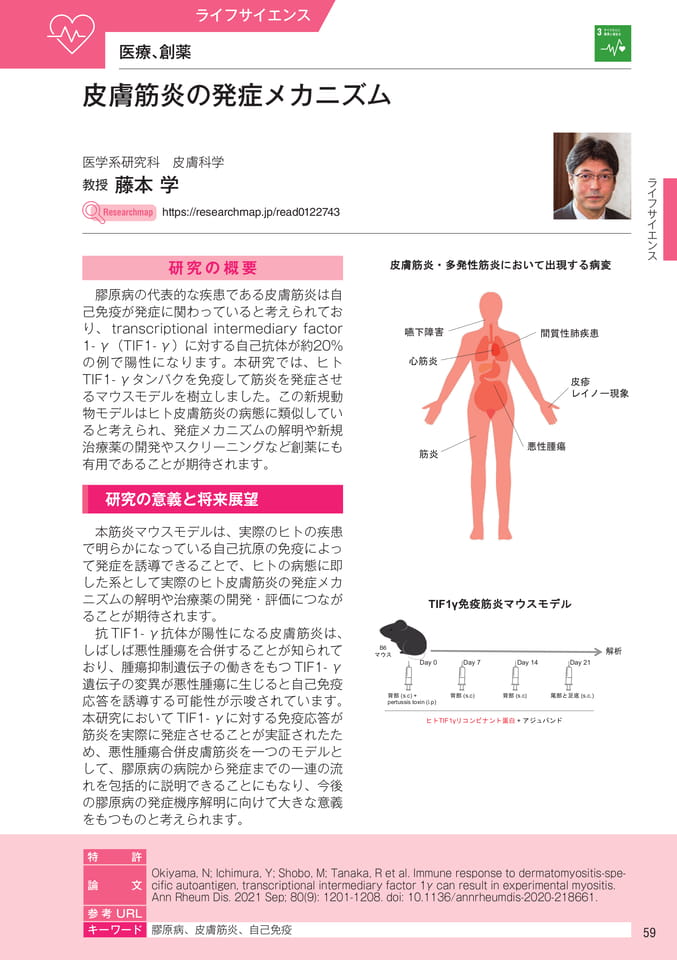 (61ページ目)