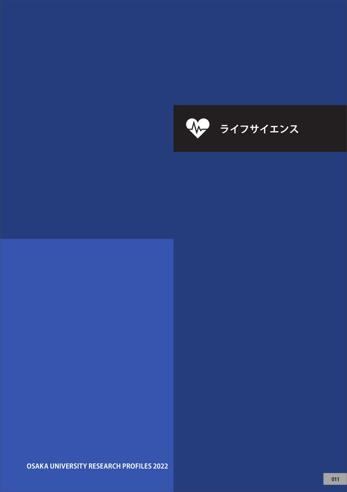 　（13ページ目）