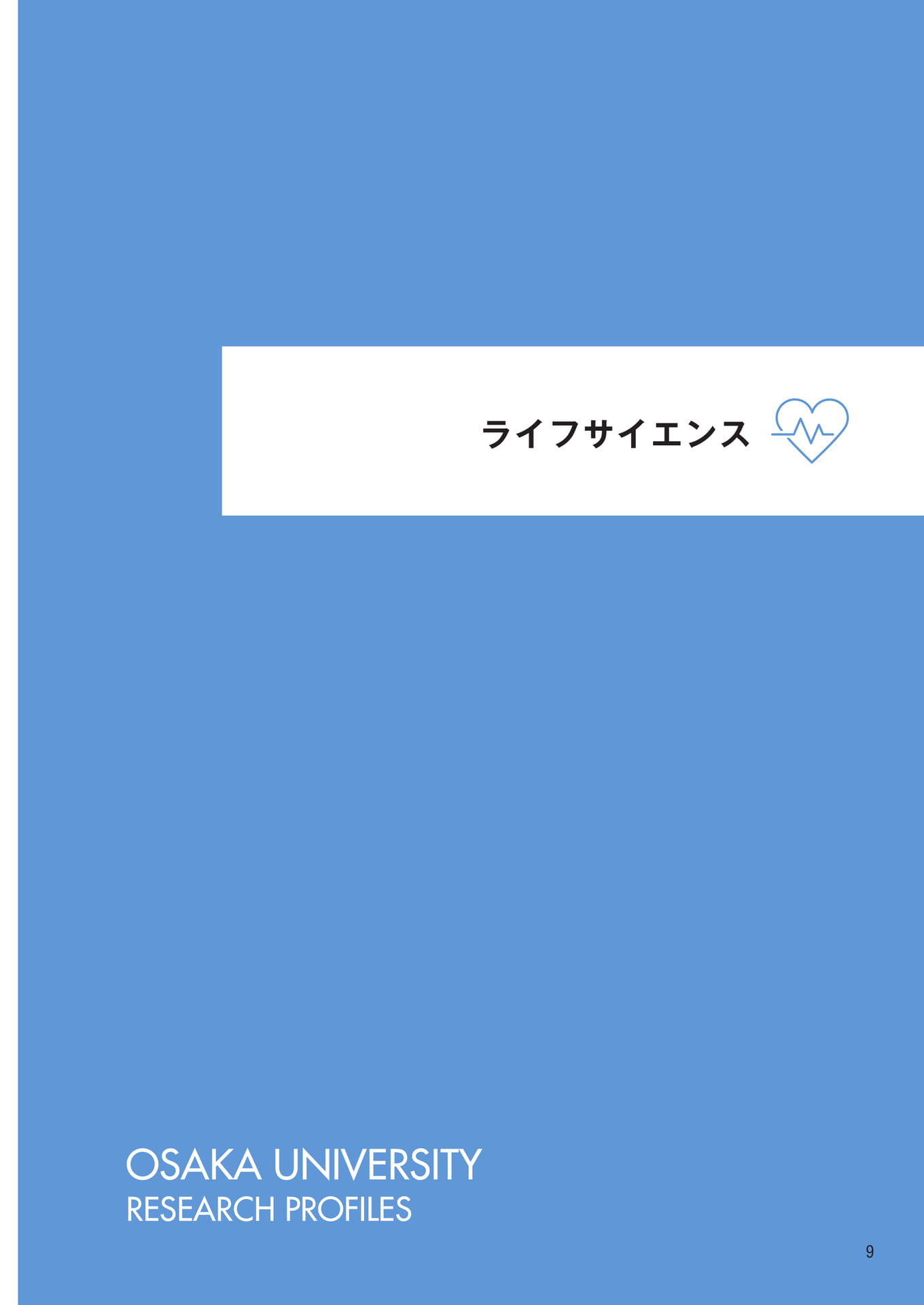 　（11ページ目）