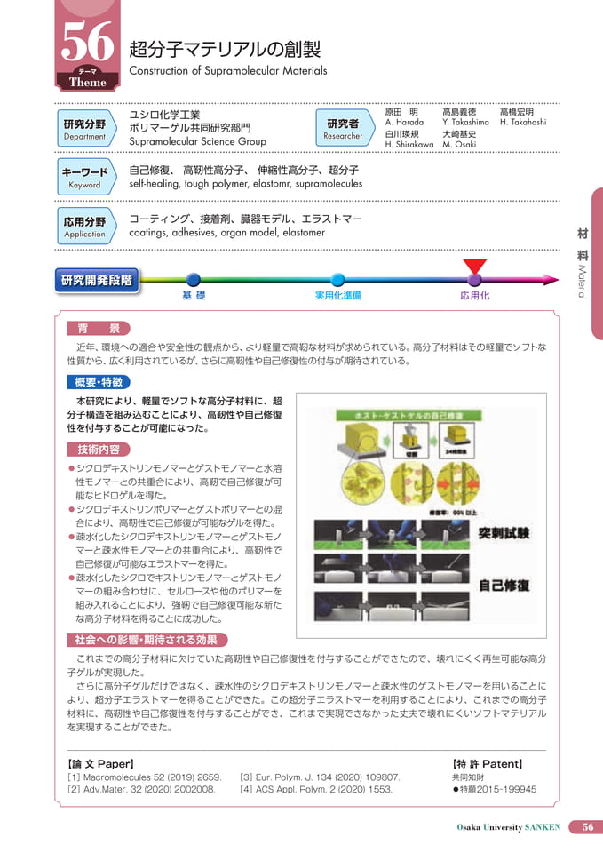 (61ページ目)
