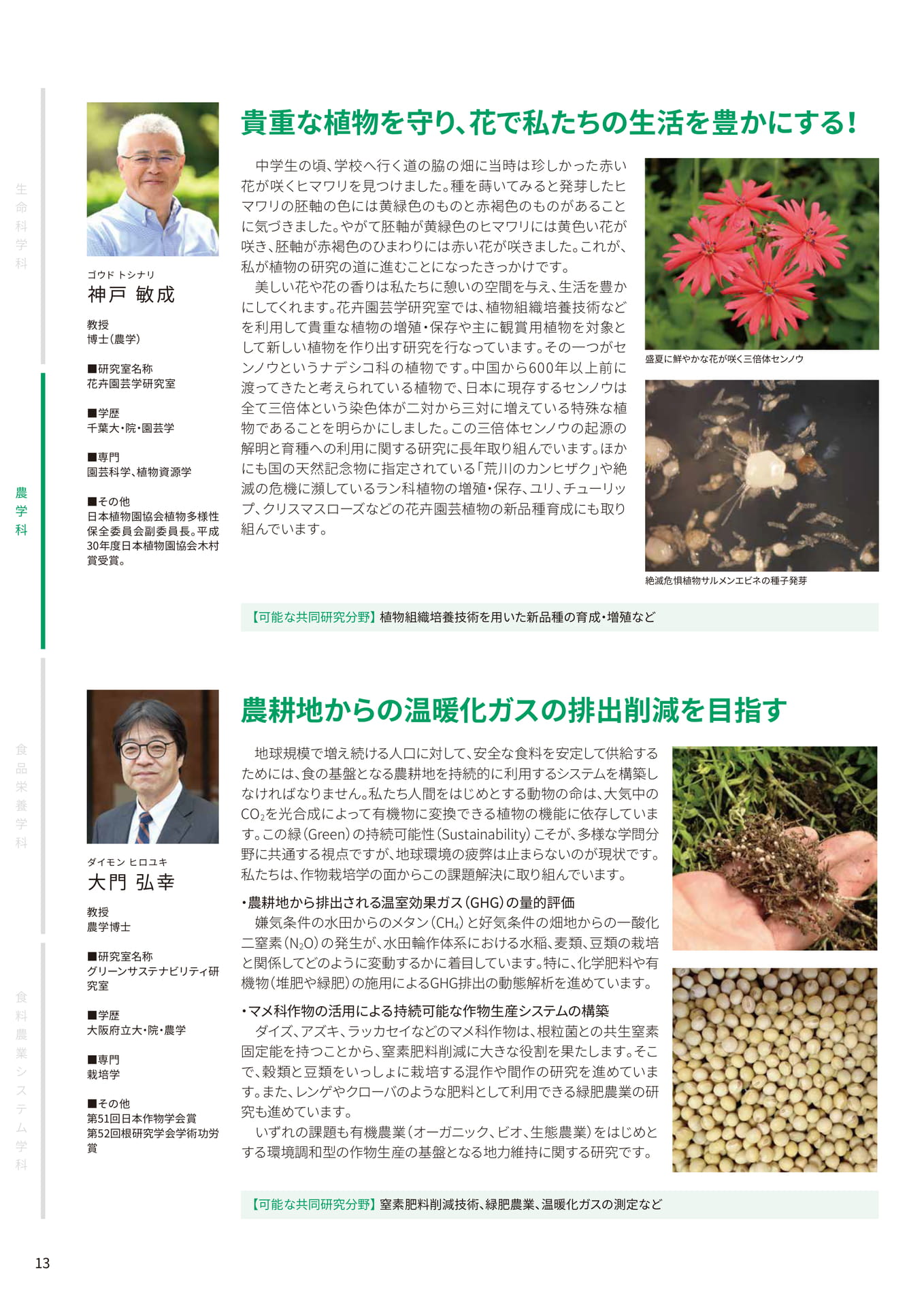 Page 14(14ページ目)