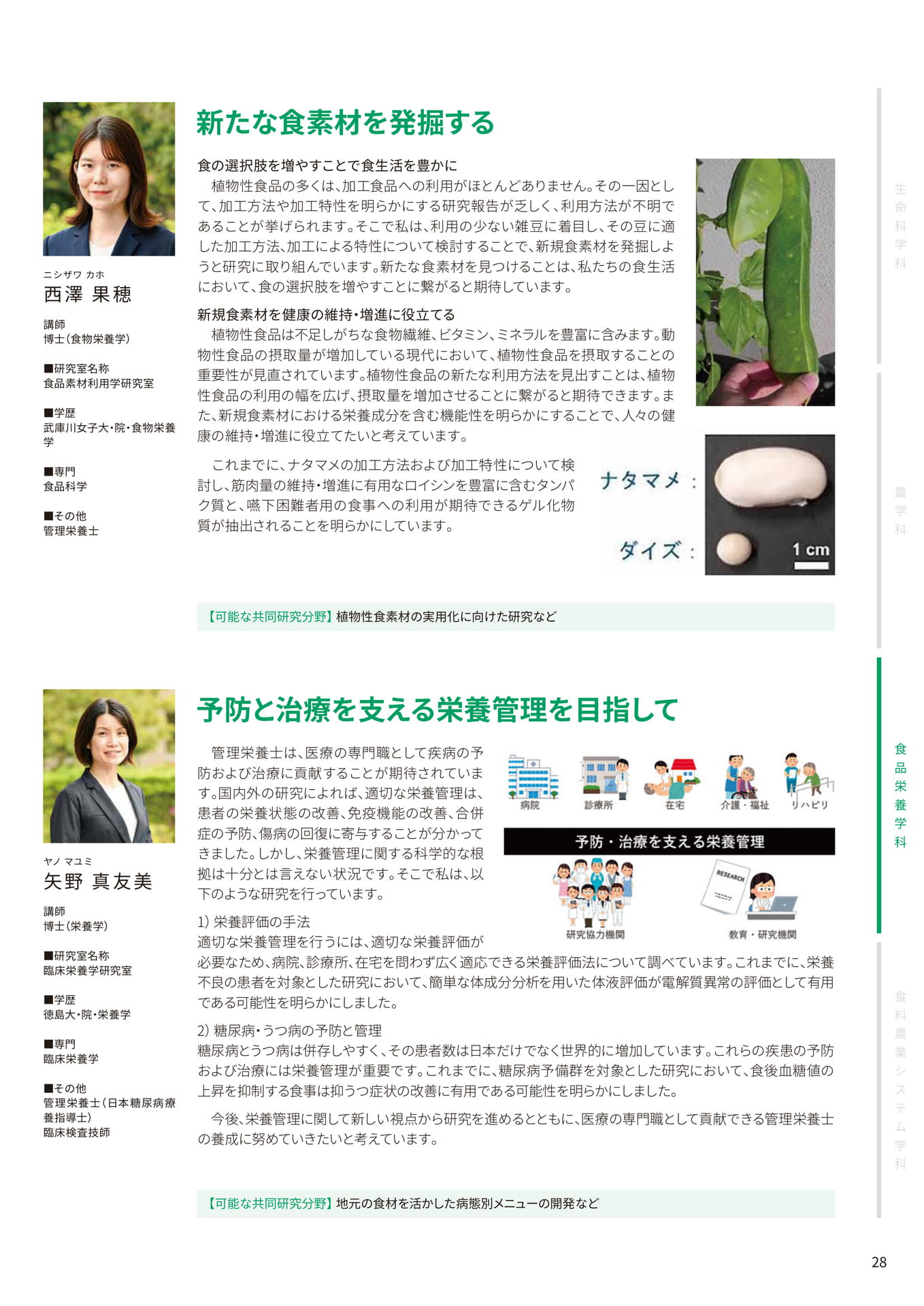 Page 29(29ページ目)