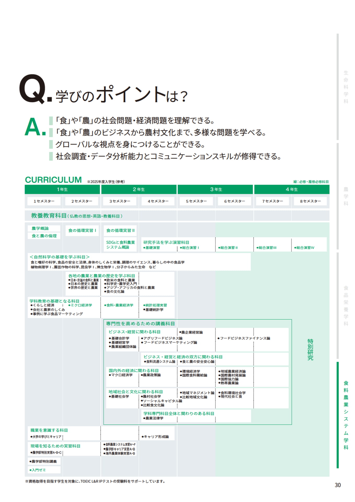 Page 31(31ページ目)