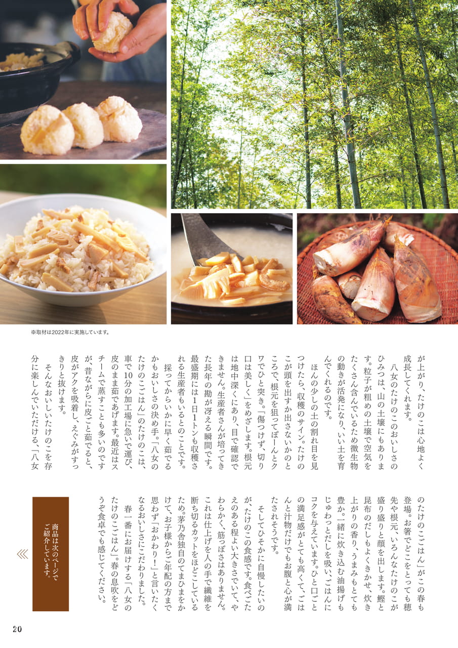 Page 21(21ページ目)