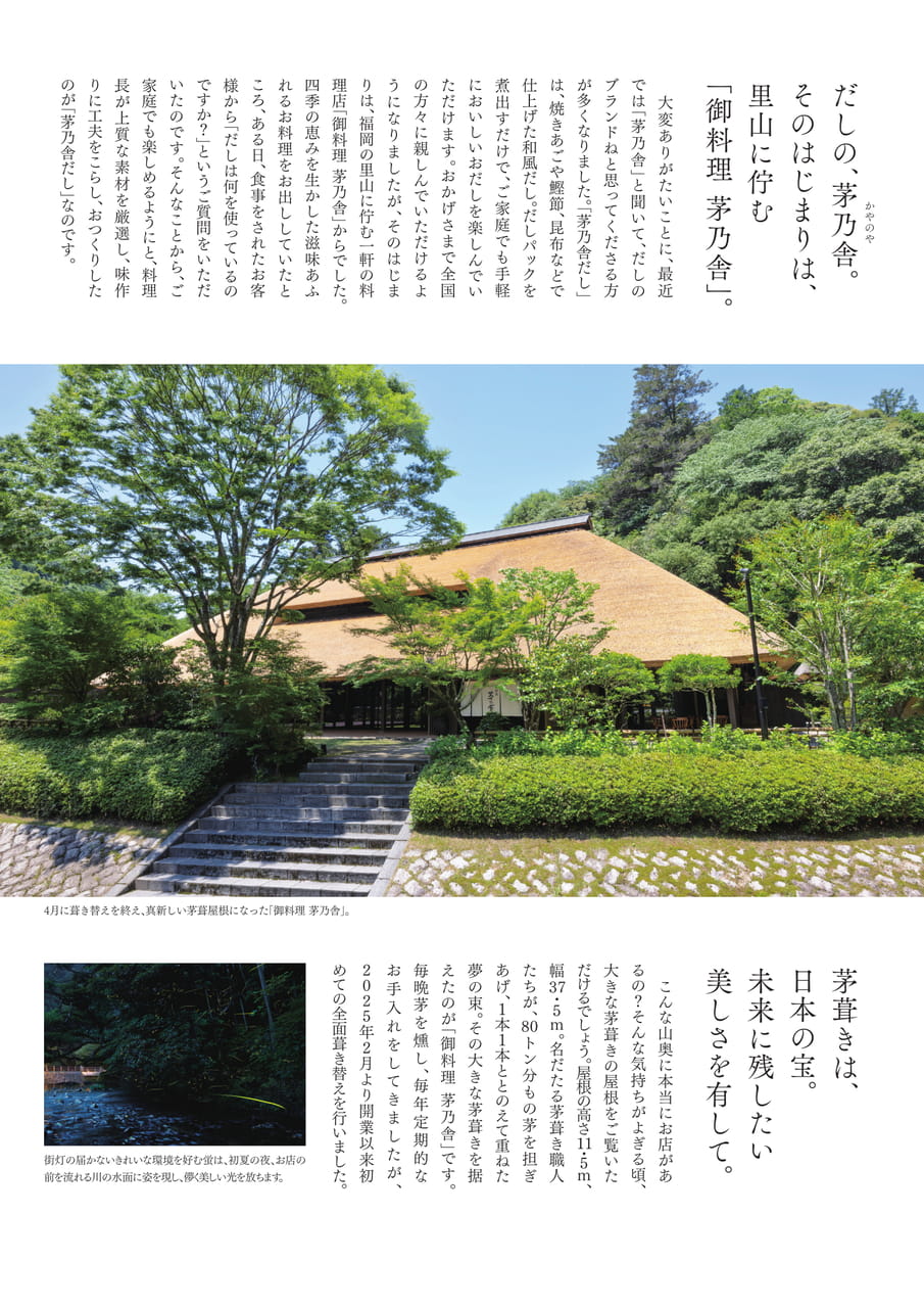 Page 3（3ページ目）