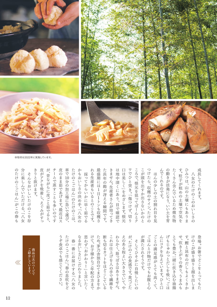 Page 13（13ページ目）