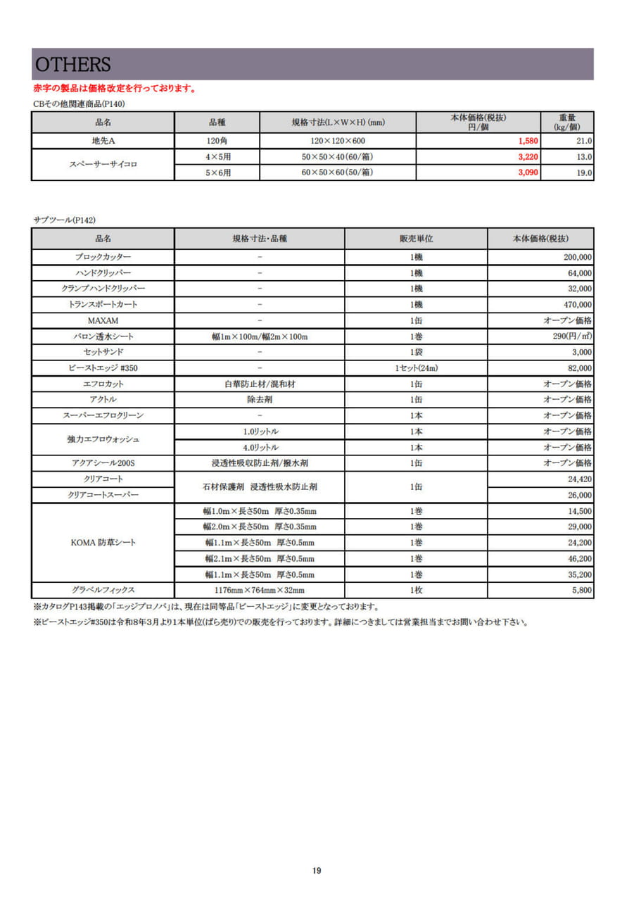 Page (追加)21（21ページ目）