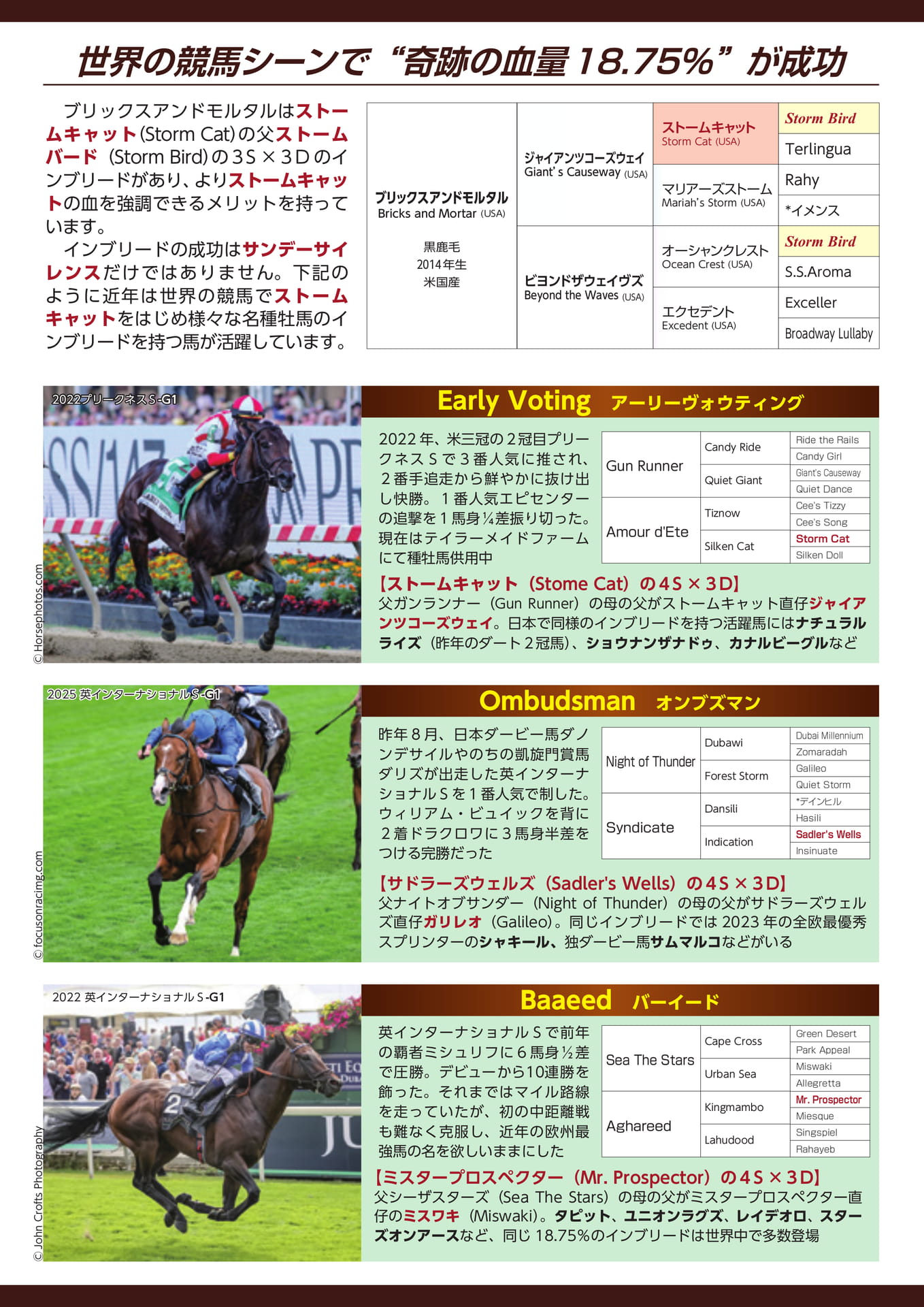 Page 3(3ページ目)