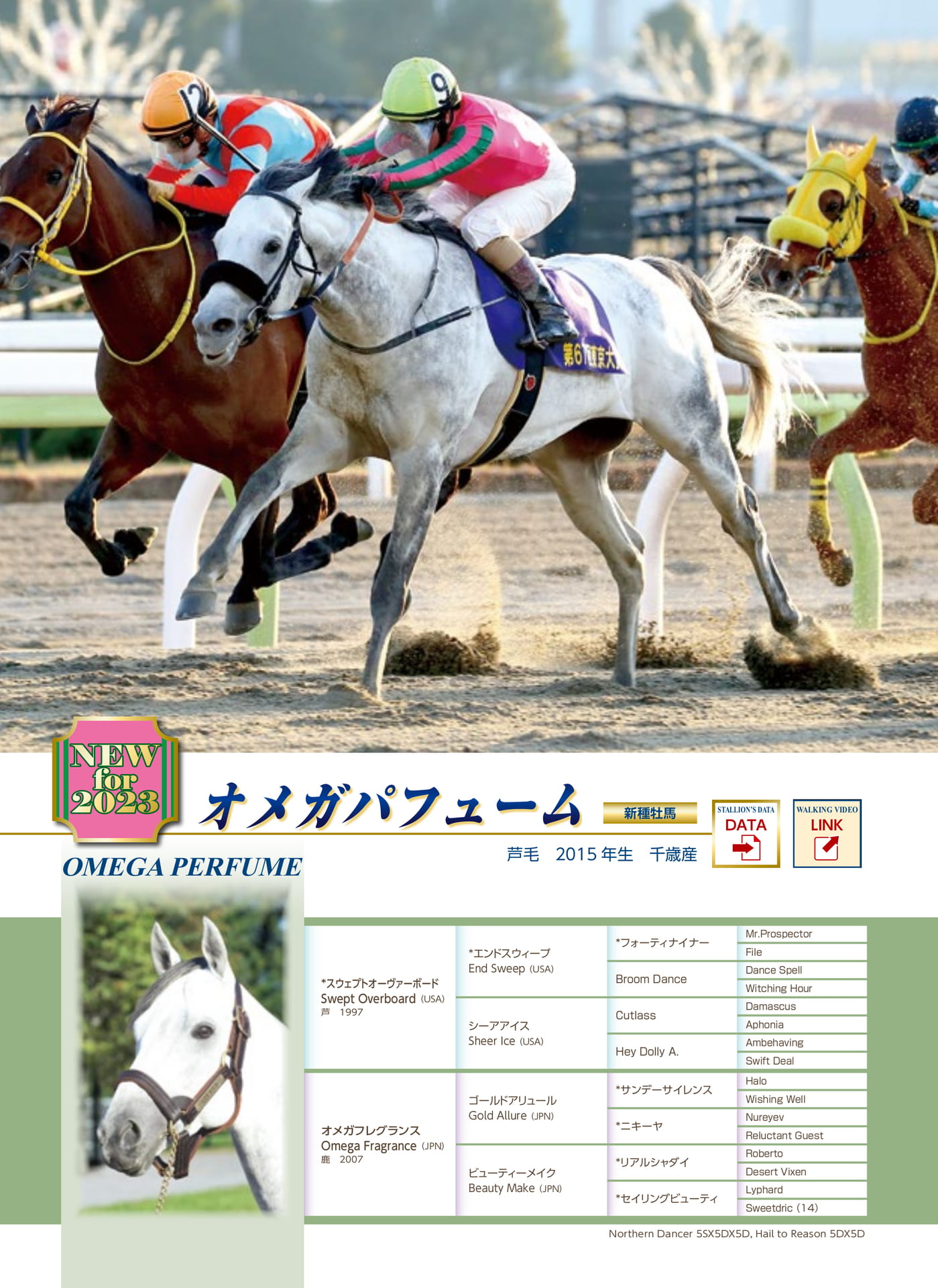 Page 12（12ページ目）