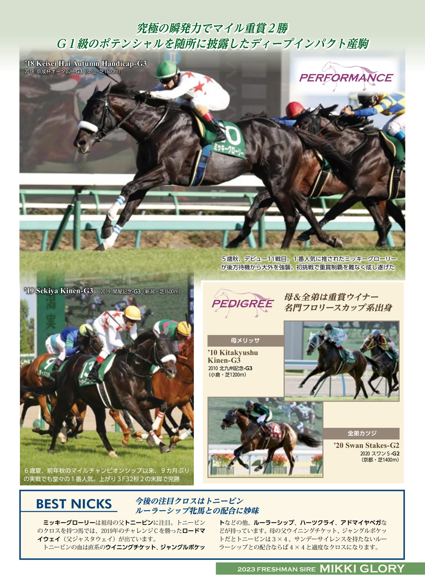 Page 29（29ページ目）