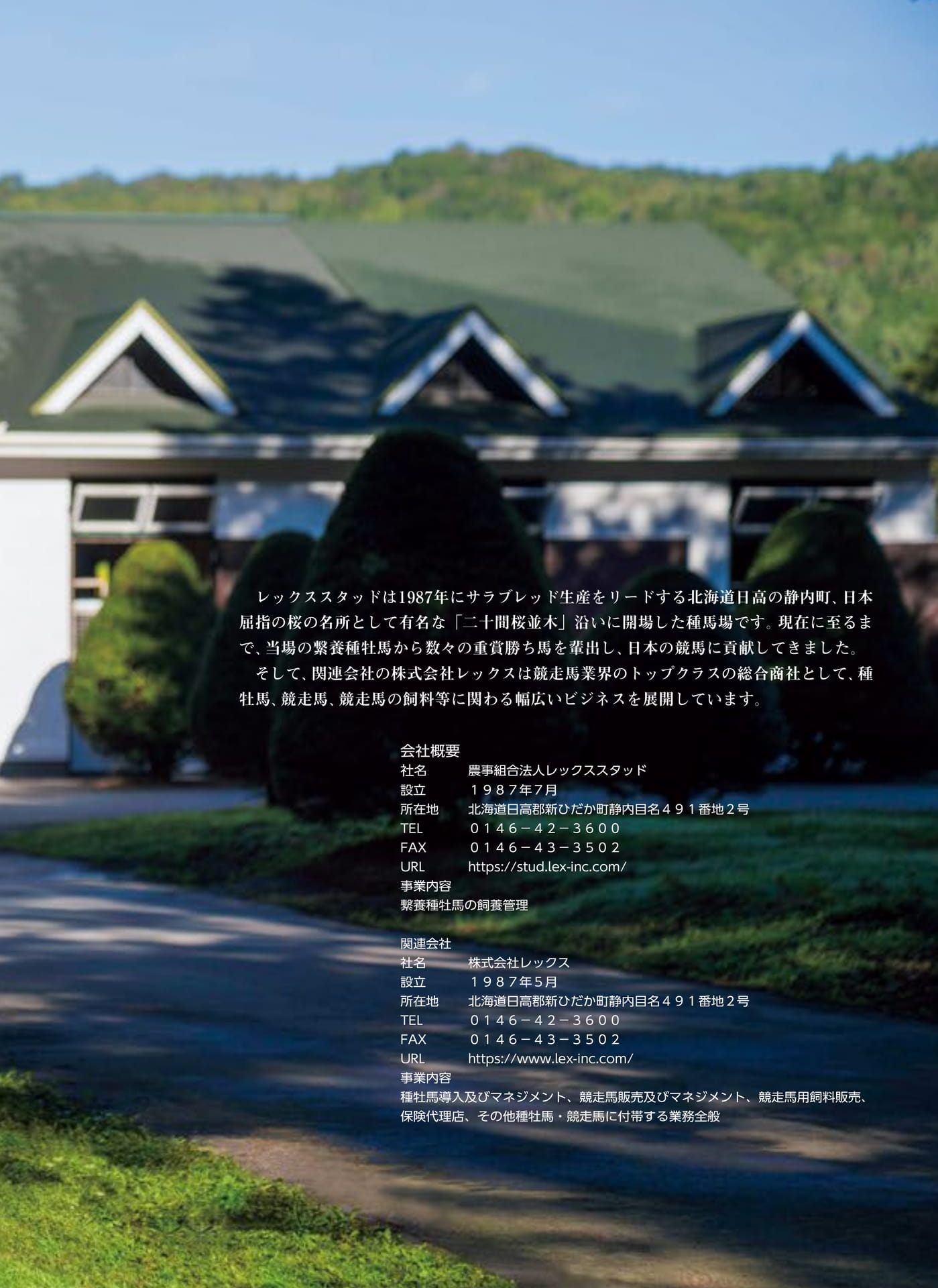 Page 85（85ページ目）