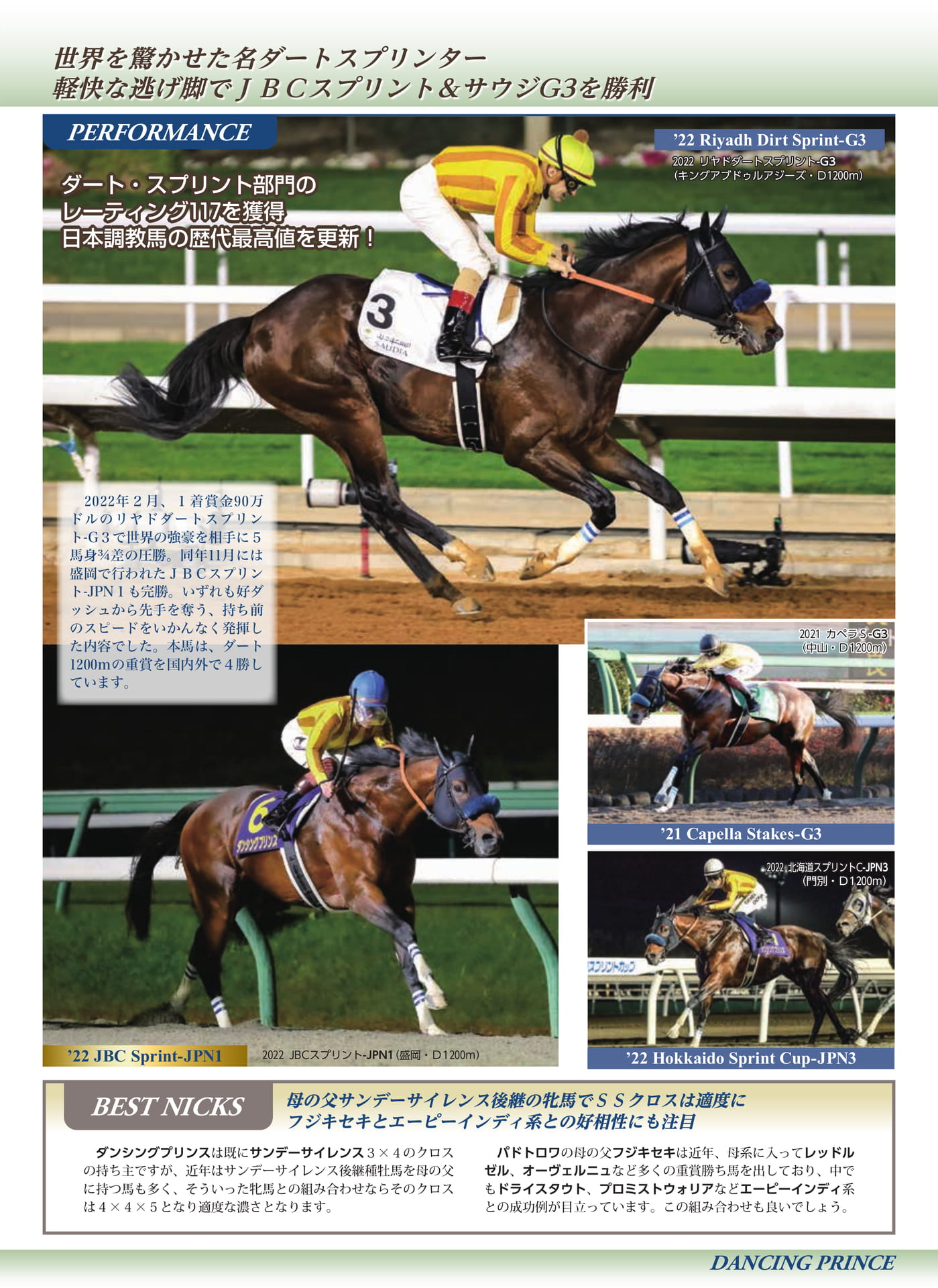Page 31(31ページ目)