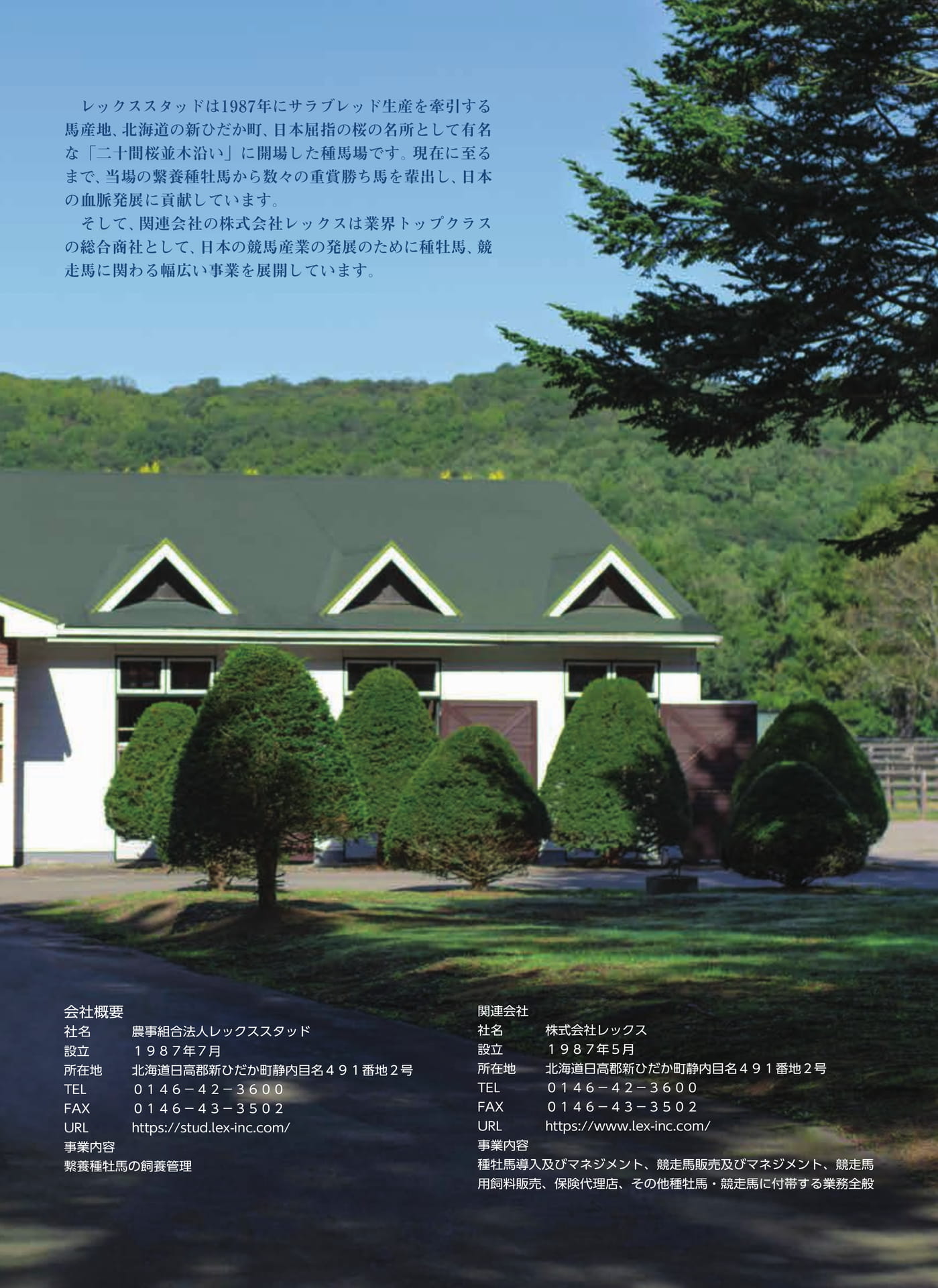 Page 65(65ページ目)
