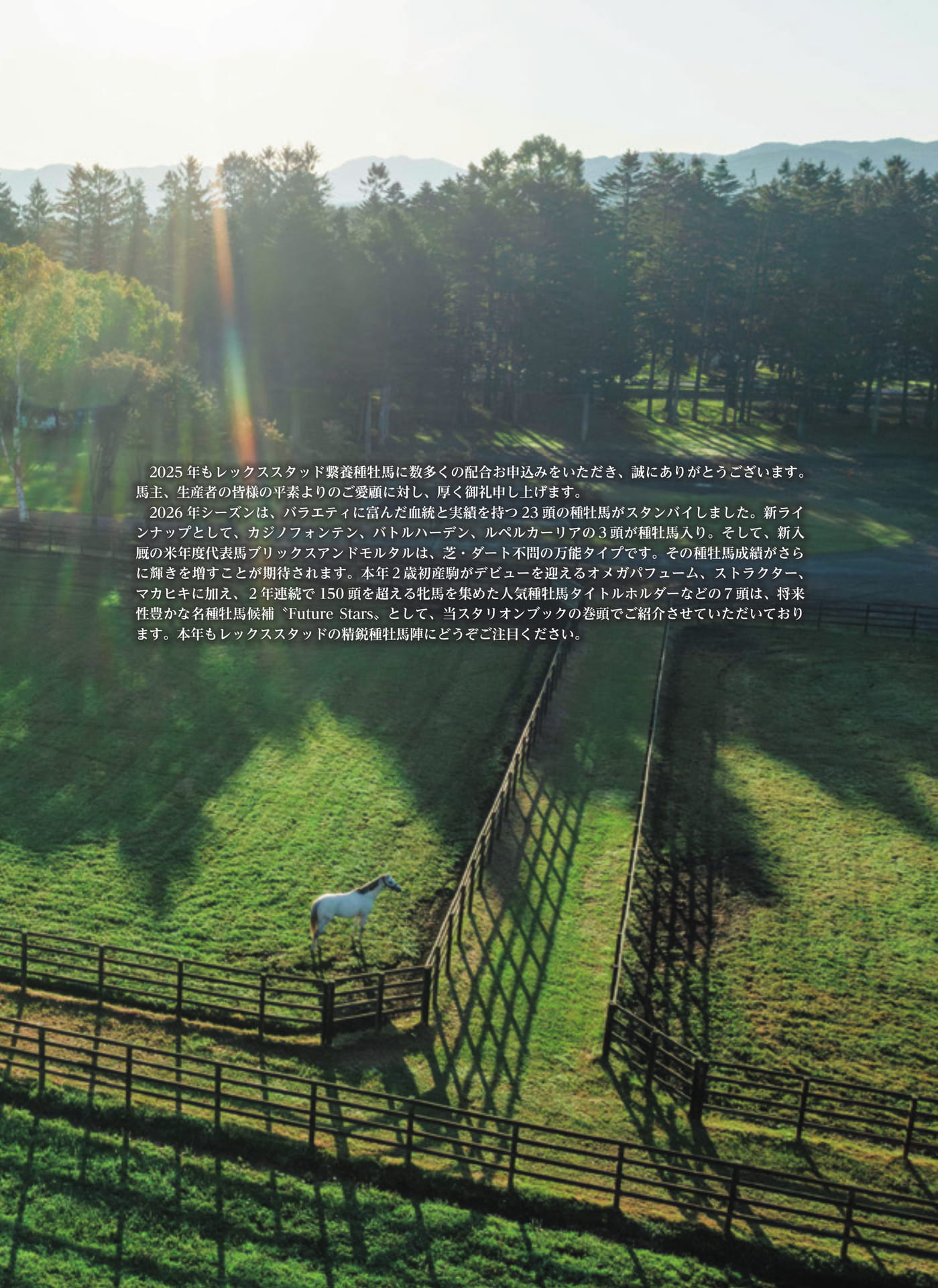 Page 07(7ページ目)
