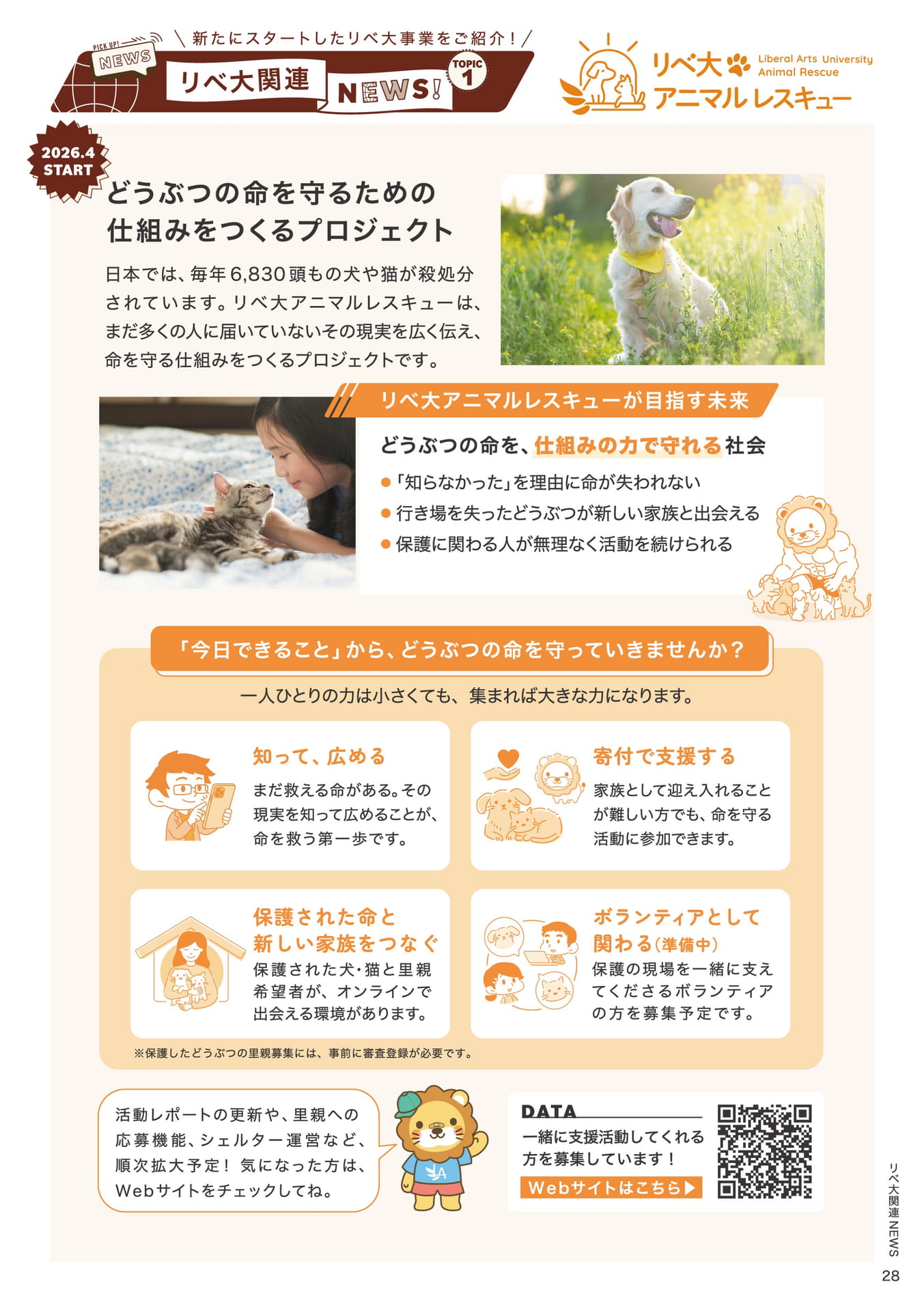 Page 29（29ページ目）