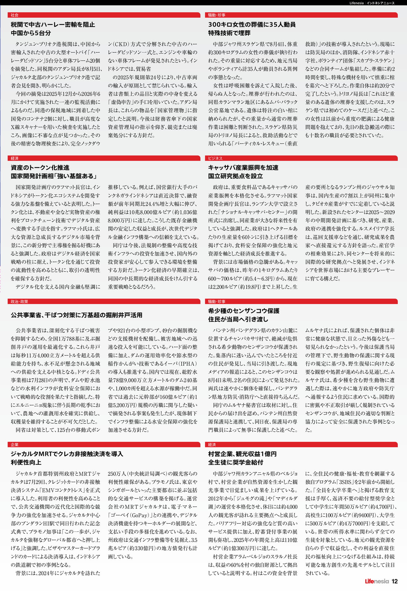 Page 12（12ページ目）