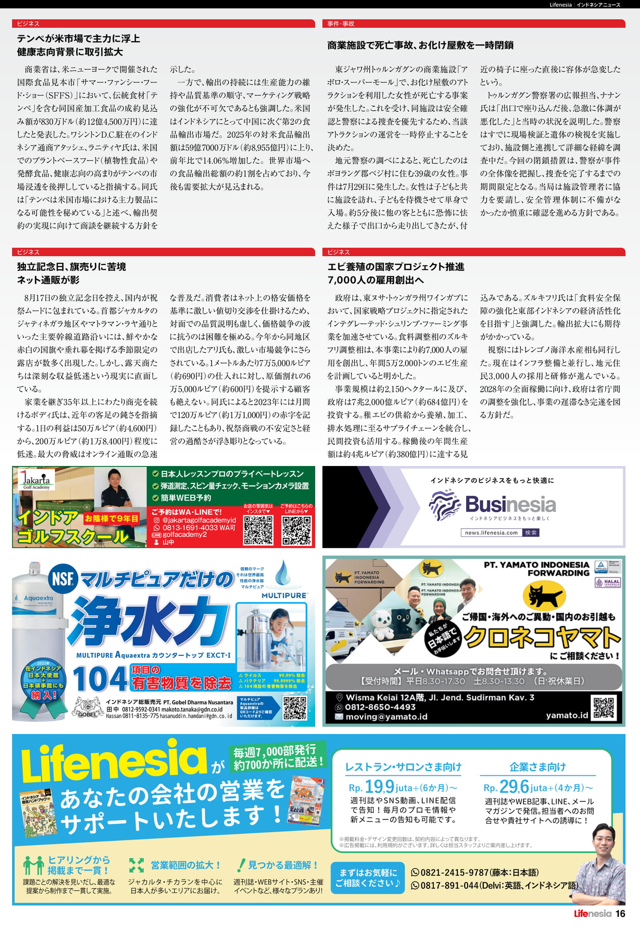 Page 16（16ページ目）