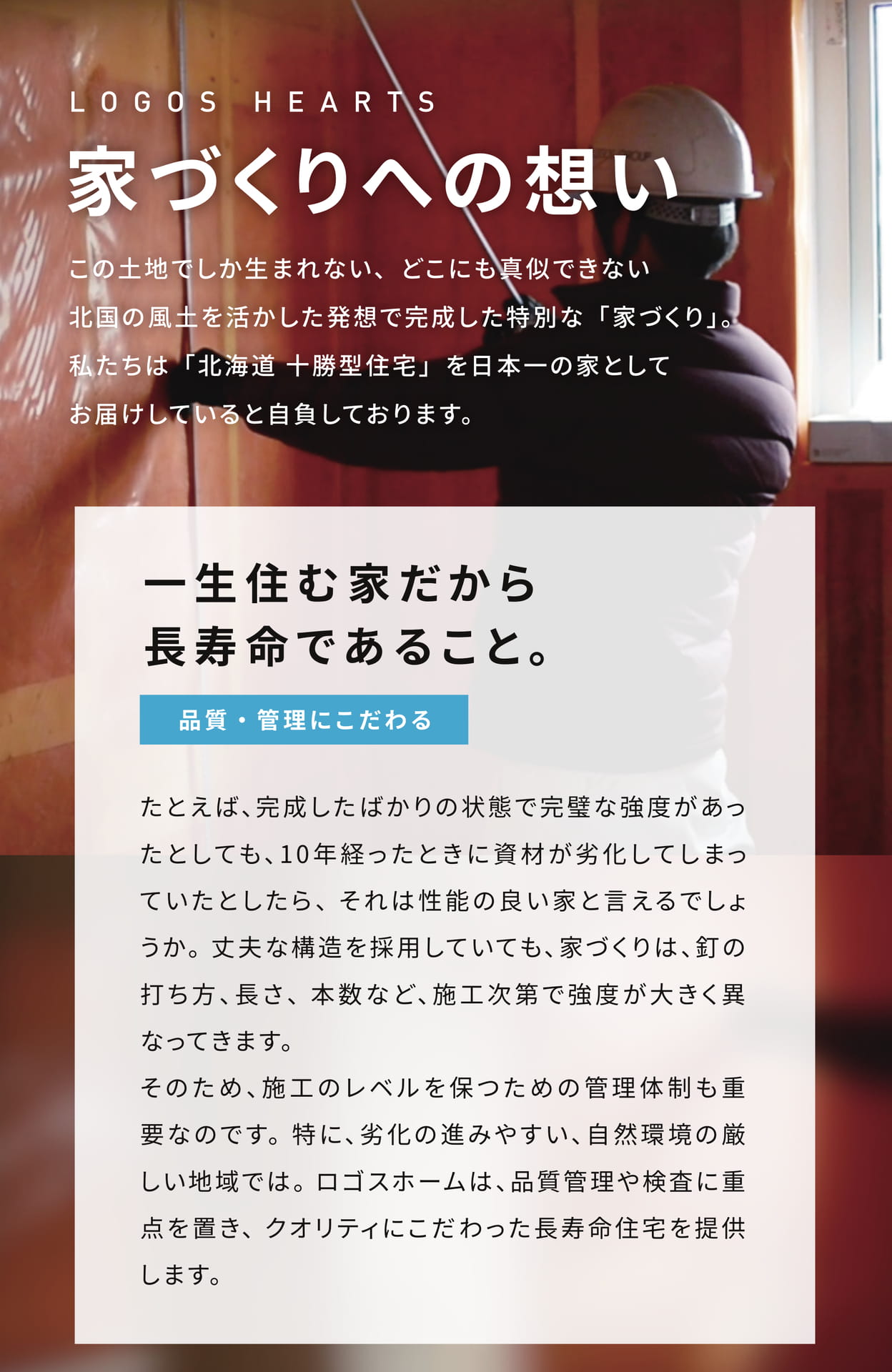 Page 04(4ページ目)