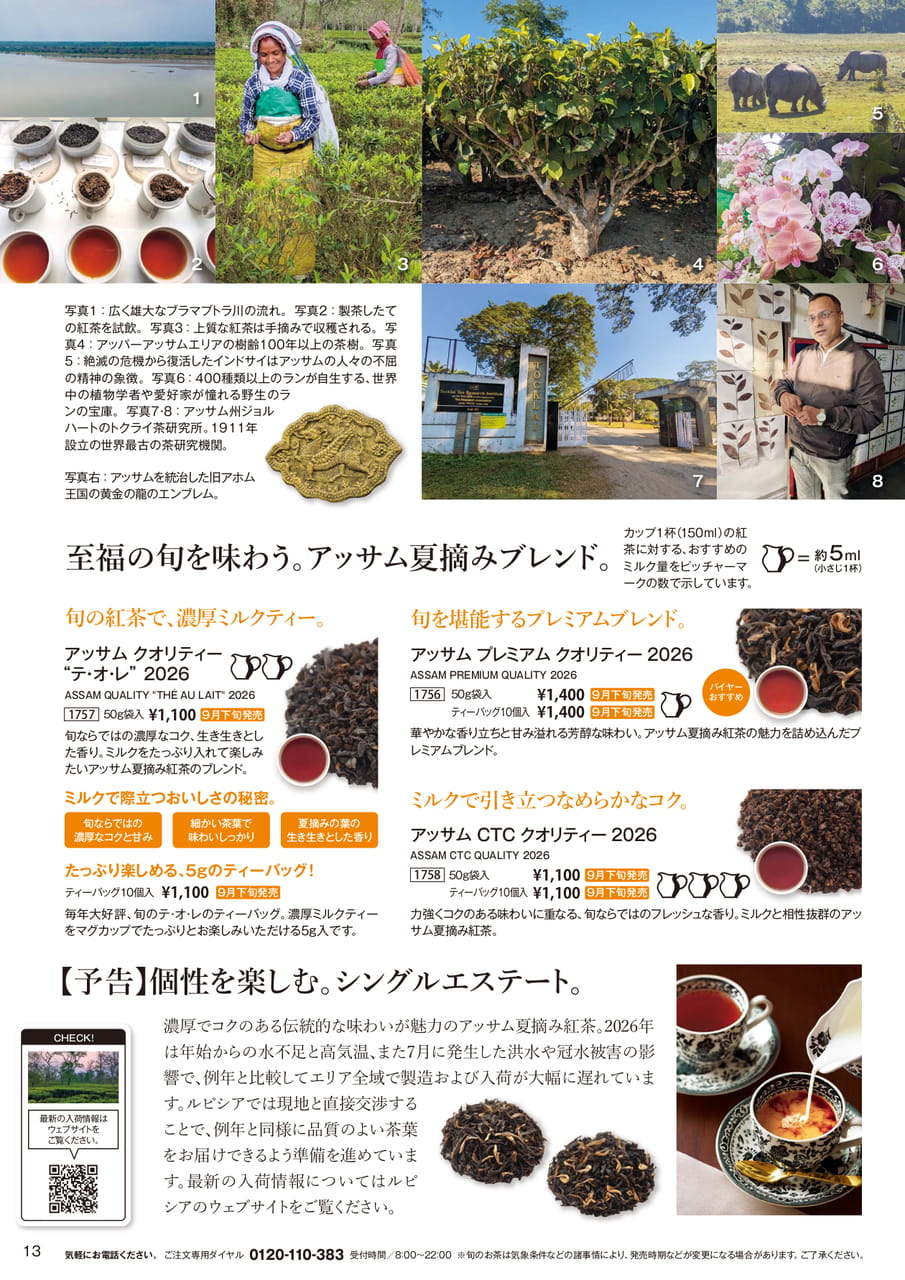アッサム夏摘みブレンド(13ページ目)