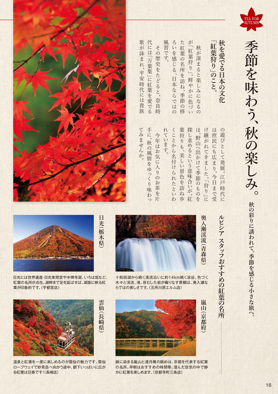 秋を愛でる日本の文化「紅葉狩り」(16ページ目)