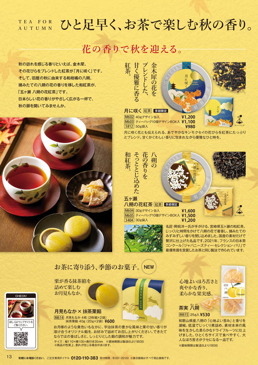 Page 13(13ページ目)