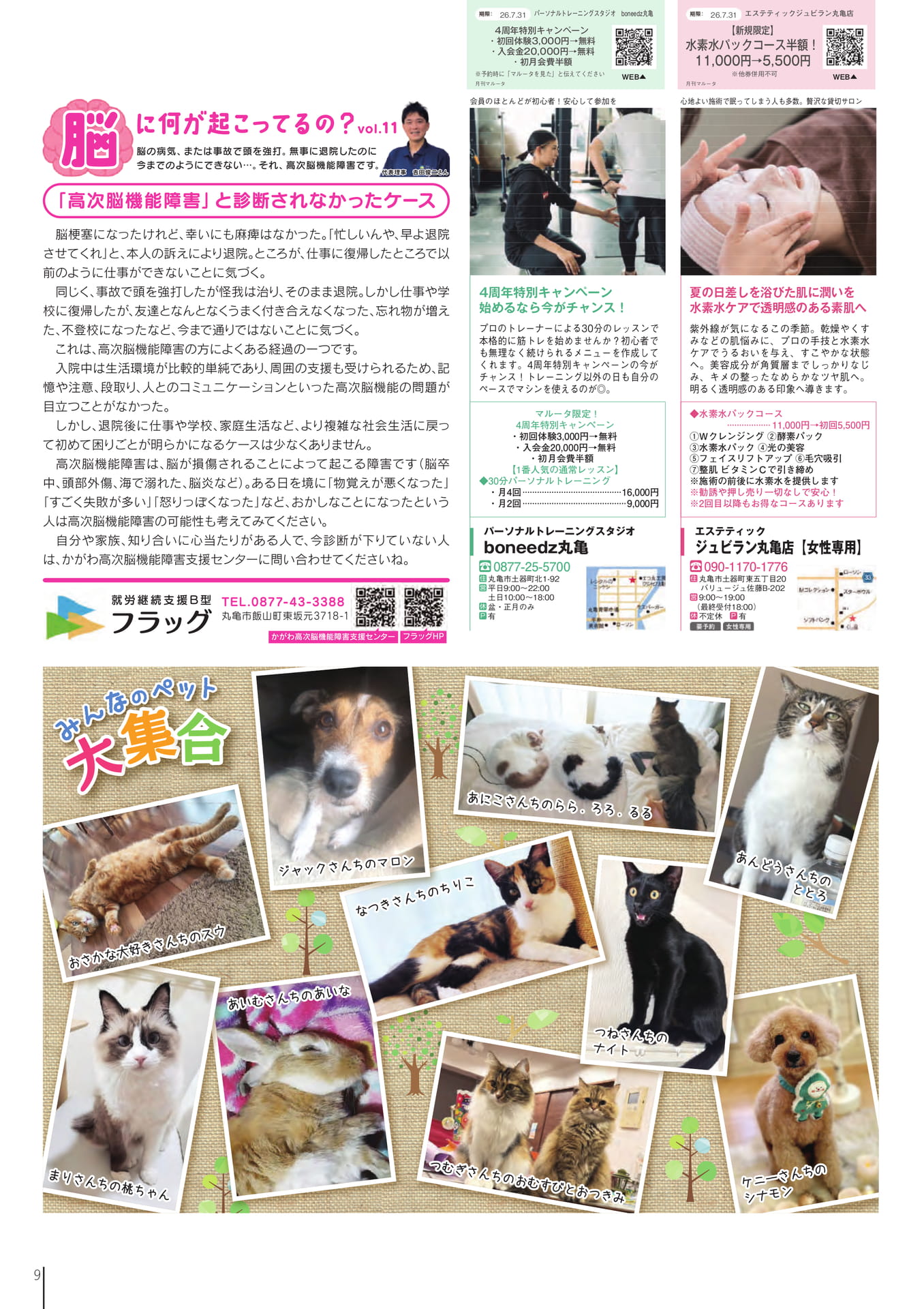 Page 11(11ページ目)