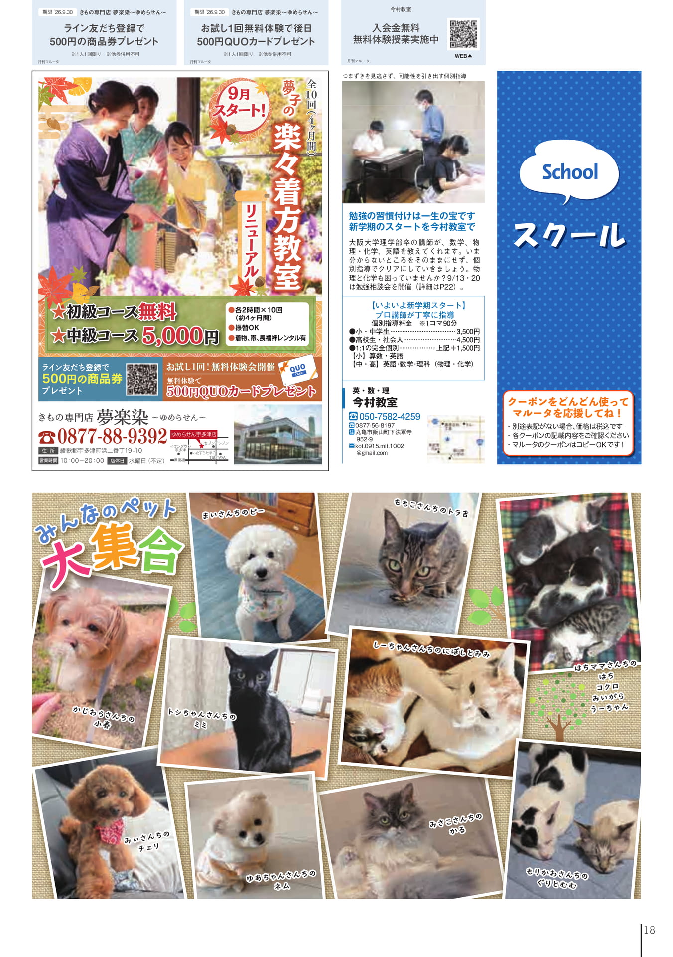 スクール情報(20ページ目)