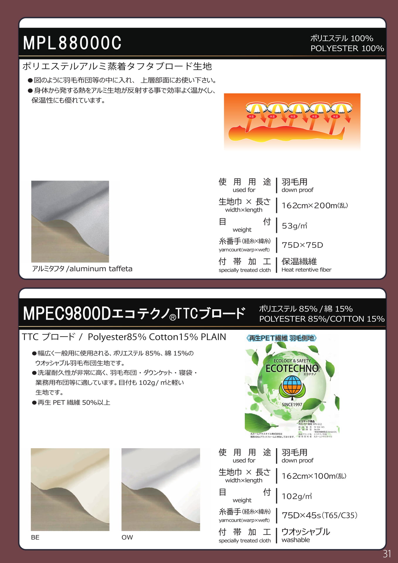 Page 31（31ページ目）