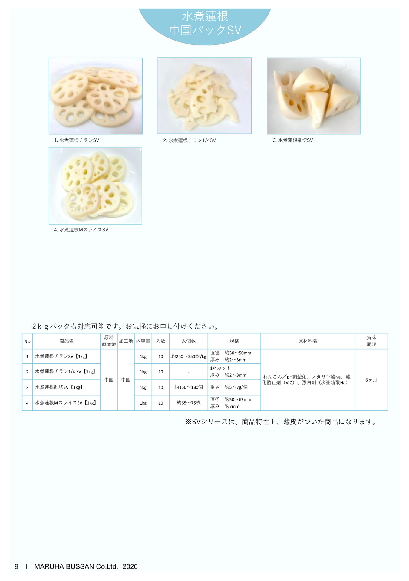 Page 11(11ページ目)