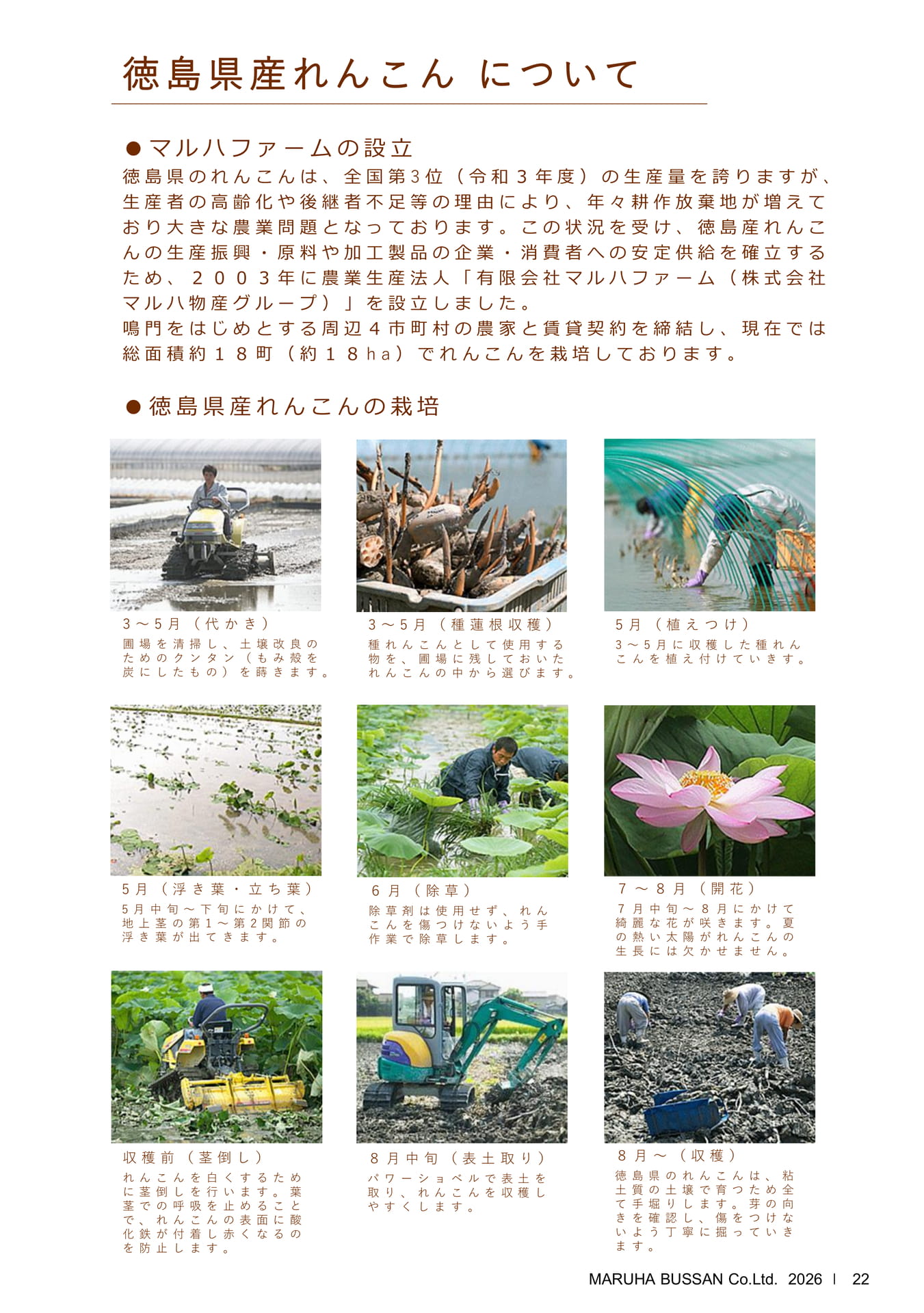 Page 24(24ページ目)