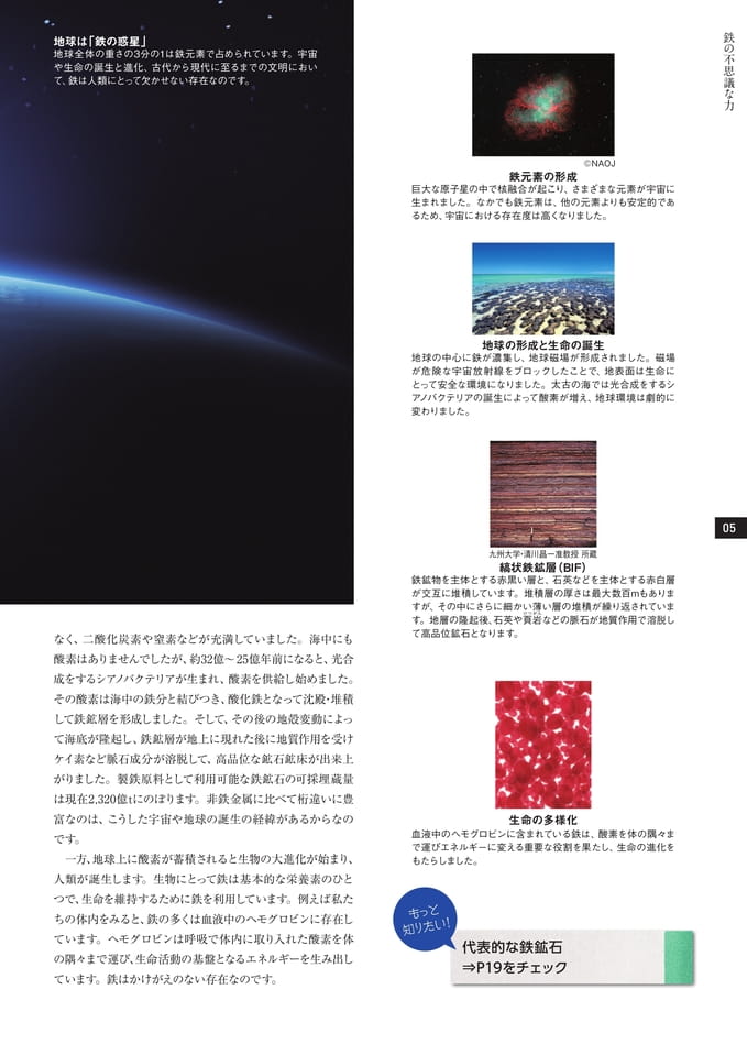 Page 05（5ページ目）